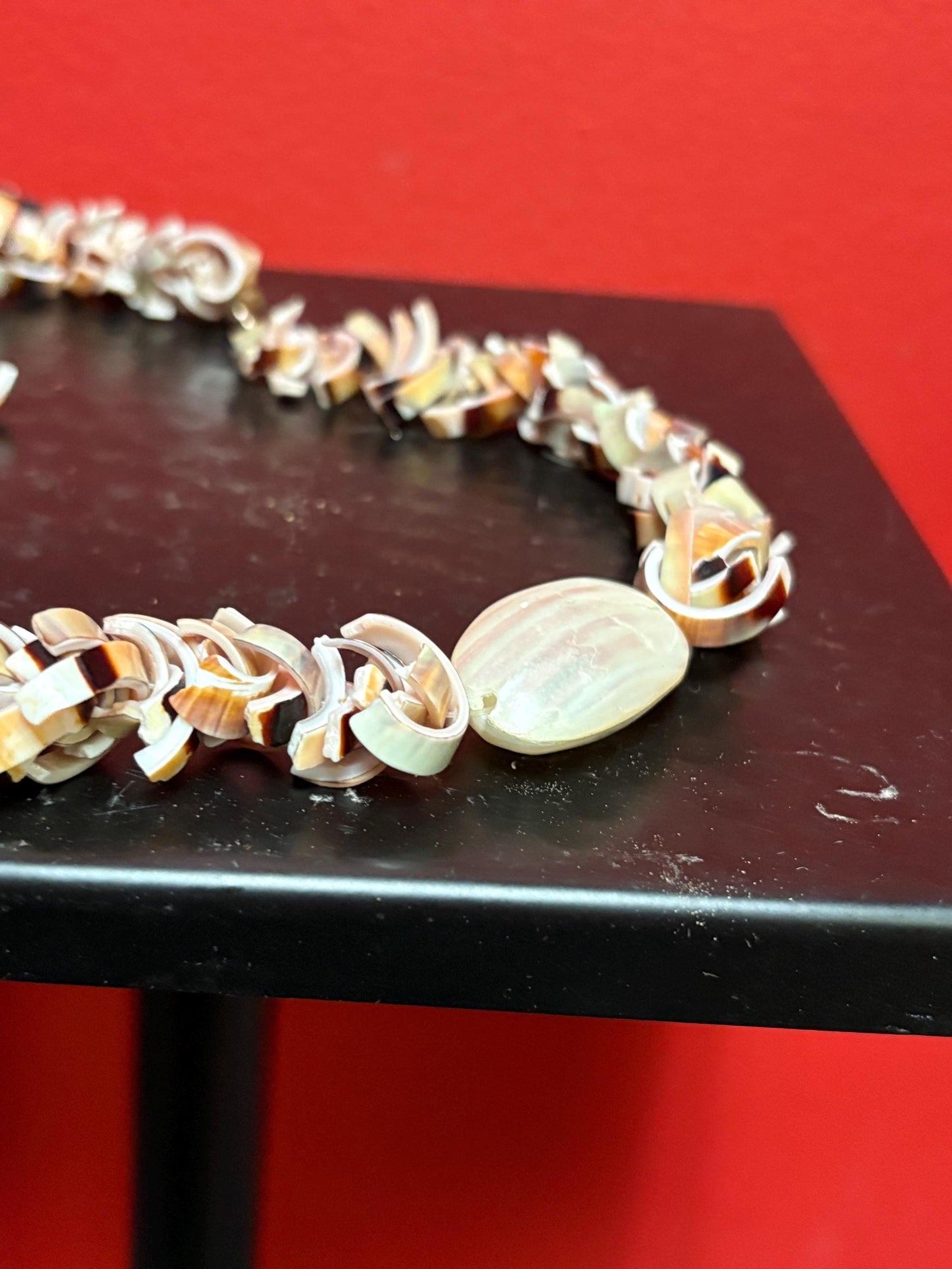 Very cool shell necklace  approx 18 inches  beautiful gift