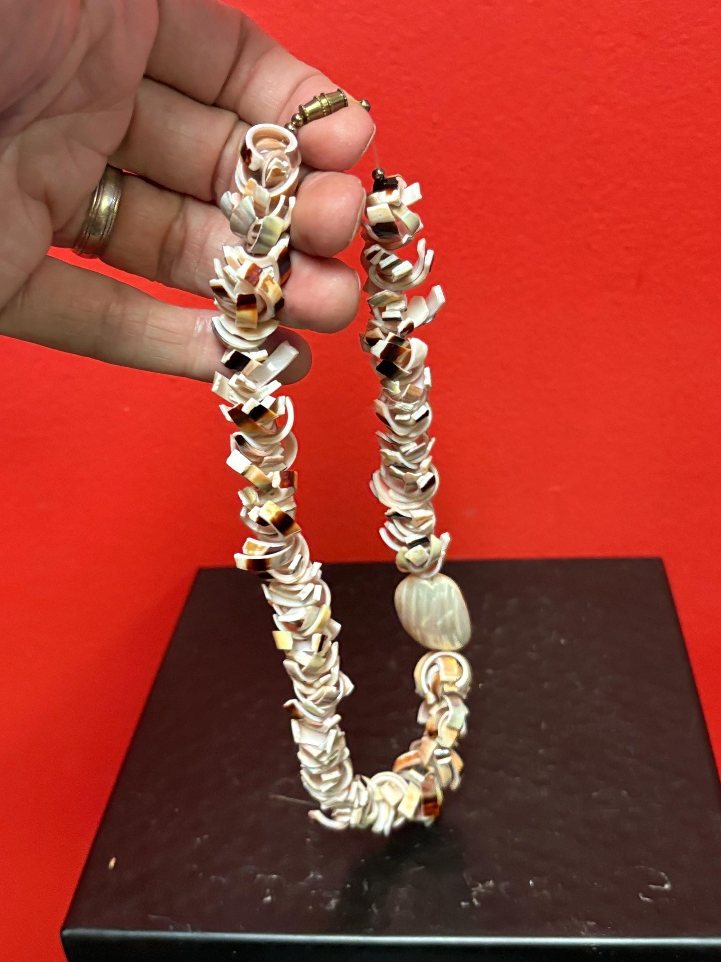 Very cool shell necklace  approx 18 inches  beautiful gift