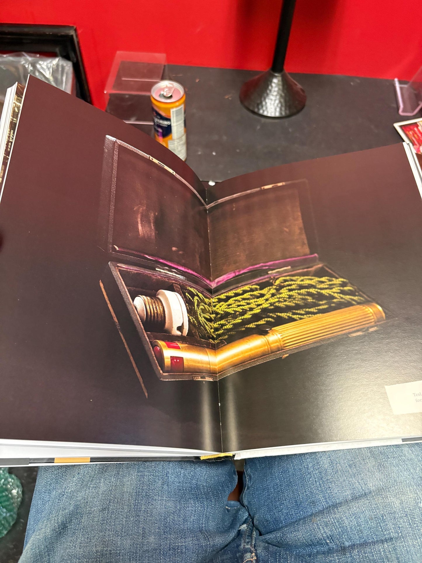 Fancy book entitled Wireless  - the life work and doctrine of NIKOLA TESLA  wonderful pictures  great reading and great gift