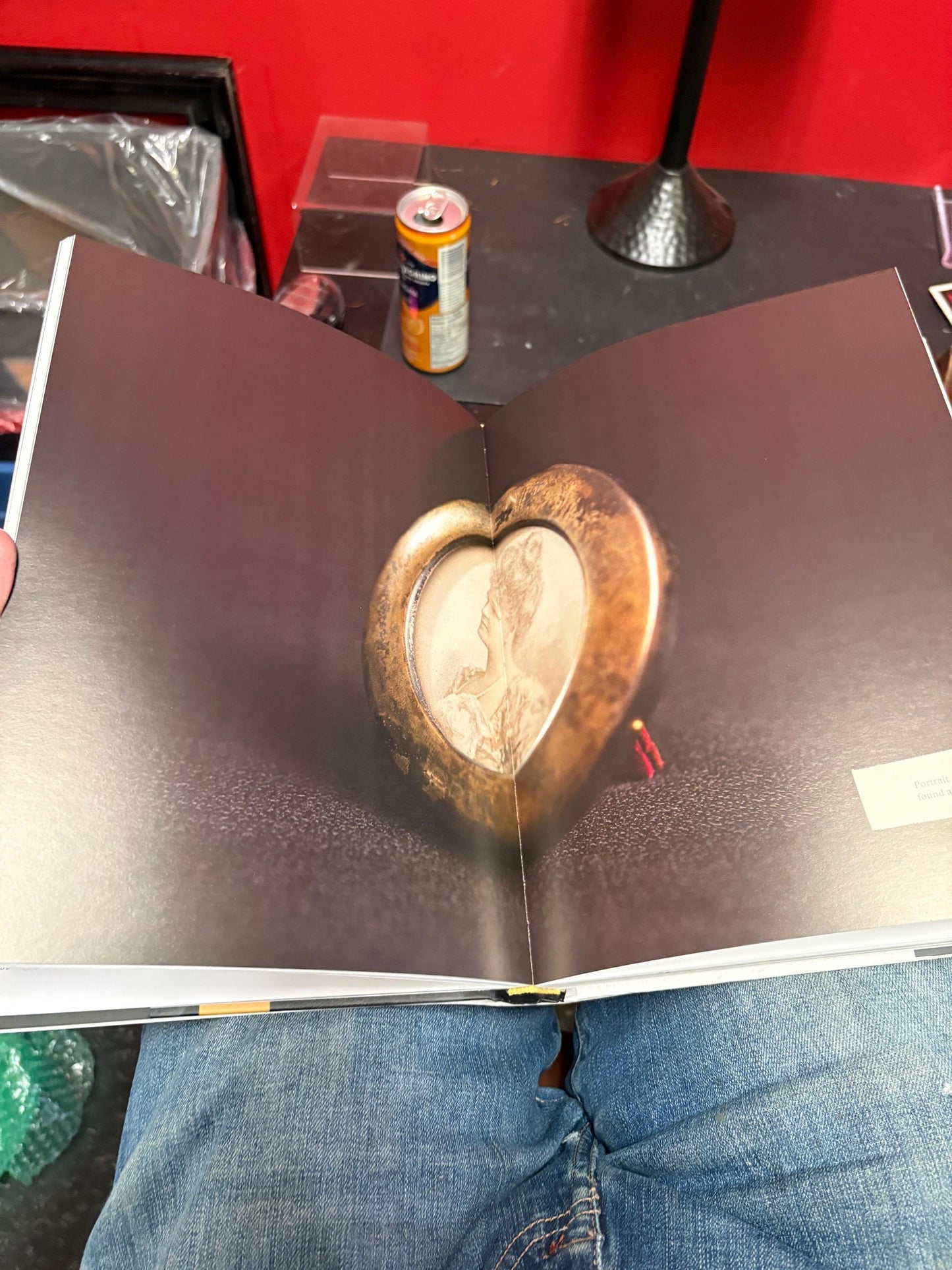 Fancy book entitled Wireless  - the life work and doctrine of NIKOLA TESLA  wonderful pictures  great reading and great gift