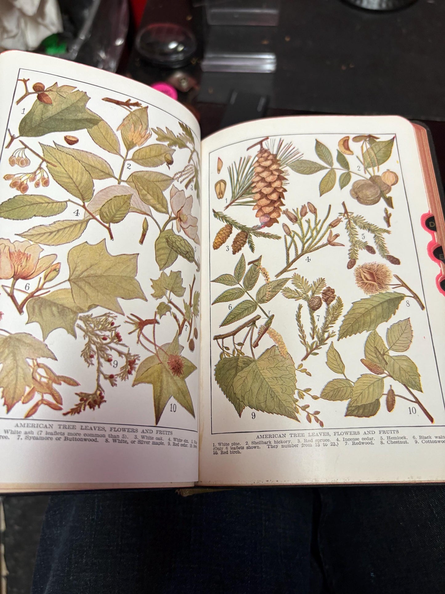 Antique edition of the universal handbook in great condition